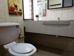 Tan Tong Meng Tower (D11), Apartment #480485281